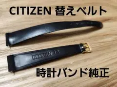 Item thumbnail for item 3f4ccec7-7755-4425-a7a6-d1a6724385ae