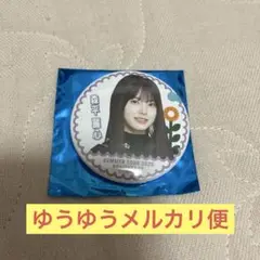 Item thumbnail for item e57bc910-f77a-4b05-a59a-18ecbc68d41d