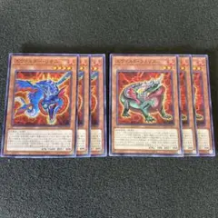 遊戯王　エヴォルダー・リオス　エヴォルダー・フォリス　セット　⑤