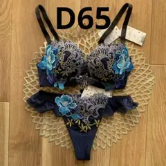【タグ付新品未使用】サルート 43G エジプト D65/ソングM ワコール