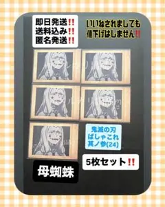 鬼滅の刃 ぱしゃこれ 母蜘蛛 其ノ参 (24)5枚セット‼️