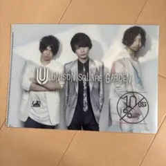 訳あり　UNISON SQUARE GARDEN クリアファイル A5サイズ