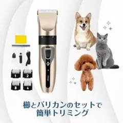 Item thumbnail for item 6b6ec29e-7fe7-4d42-80cb-f586190f9cbf