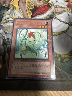 遊戯王 ナチュル・ローズウィップ レア 1枚 DT04