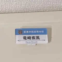竜崎疾風 名札風バッジ　スタオケ