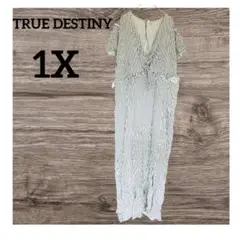 TRUE DESTINY 【1X】ストライプ 半袖ロングワンピース