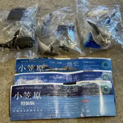 ネイチャーテクニカラー いきもん 小笠原特装版 3種セット ガチャ