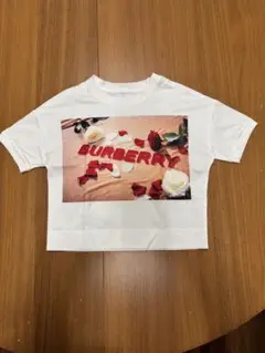 BURBERRY Tシャツ
