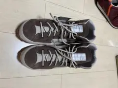 スニーカー apomixis アポミキシス　asics 貴重