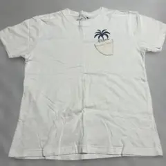 Naughty Dog パームツリーTシャツ
