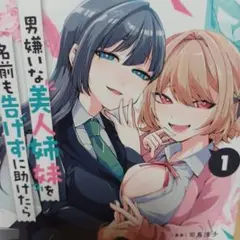 ■メロブ特典付■男嫌いな美人姉妹を名前も告げずに助けたら一体どうなる 3巻セット