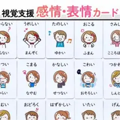 感情カード　表情カード　発達障害　絵カード　知育　視覚支援　療育　意思表示カード