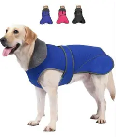 Item thumbnail for item ea6de8a5-3cc8-42e8-9718-4f93a5a69fd6