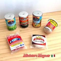 ミニチュアマグネット マルちゃん フリフォーレス トルティーヤ他 メキシコ 雑貨