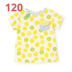 新品・ベイビーチアー　シトラス　半袖　Tシャツ 120