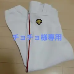 DESCENTE デサント 野球 ユニフォーム