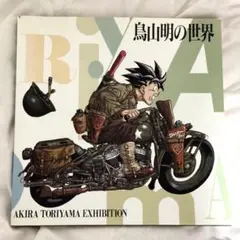 図録「鳥山明の世界」　画集　鳥山明 Amazon.co.jp: 鳥山明の世界展 図録 鳥山明の世界 AKIRA