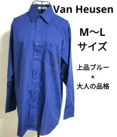 Van Heusen ブルーシャツ 光沢 ストライプ ドレスシャツ 長袖 M～L