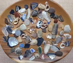 シブい色の趣のある貝殻のクラフト素材セット