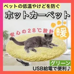 Item thumbnail for item 416ec680-7ee1-4eec-9065-cfe16c6684f2