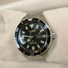 CITIZEN シチズン プロマスター NY0125-83E フジツボ ダイバー