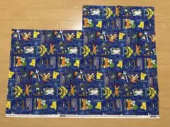 布　ポケモン柄 プリント生地 約102cm x 約78cm ※少し使用あり
