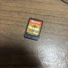 ゼルダの伝説 ティアーズ オブ ザ キングダム