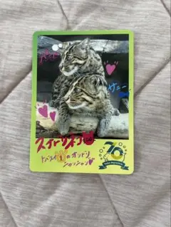 鳥羽水族館　コレクションカード　スナドリネコ