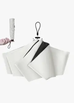 Item thumbnail for item a4a2111e-8644-4e81-9067-3c30a9ef8bcc