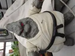 浪漫堂マウンテン