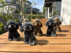 新出荷❤️天然石エコ置き☆インテリア小物✨小売✨園芸