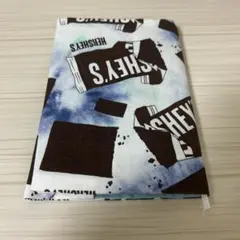 ハンドメイド　ブックカバー　文庫本サイズ　チョコレート　ドット　水色　板チョコ