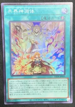 遊戯王　共界神淵体メタトロニオス　スーパー
