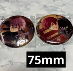 ★新品★アイナナ ŹOOĻ記念日2022 75㎜缶バッジ　トウマ　虎於　セット
