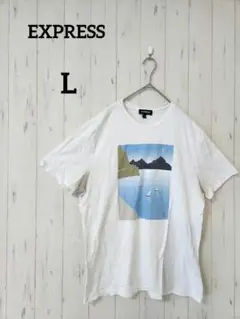 一点もの✨EXPRESS 【L】珍柄風景プリント Tシャツ綿100%✨
