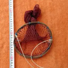 Item thumbnail for item 9760600e-e0d3-49c6-9f09-a210d1ead59c