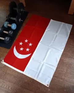 国旗　インテリアに♪
