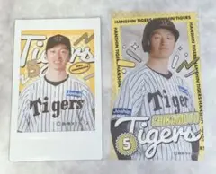 近本光司 阪神タイガース ドコモ記念くじ ラッフル クリアカード プリントチェキ