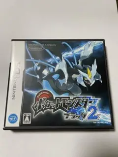【動作確認済・説明書あり】ポケットモンスター ブラック2 ニンテンドーDS