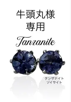 Item thumbnail for item ab1fc13c-c6e1-4b81-a638-f82f0fca8a42