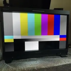 【値引可・早い者勝ち・美品】SONY PVM-A2541