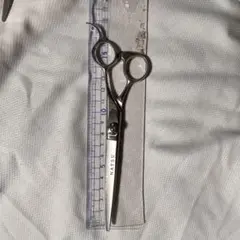 Item thumbnail for item 6aca0d80-4042-45ee-b678-43e5c4ff5c8a