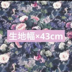 リバティ　カーサノンナ　ハムステッドサマー　魔女子ノワール