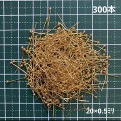 Item thumbnail for item 038332bb-5340-4be4-830a-4b8b2c5c5b1e