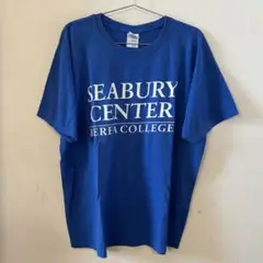 GILDAN Tシャツ 青 良プリント