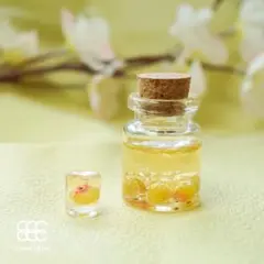 【試作品のためお安め】梅酒のミニチュアフード｜cham*chum