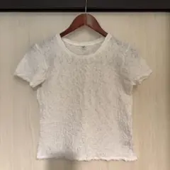 半袖Tシャツ ワッシャー生地 白 ユニクロ