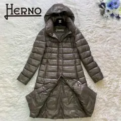 美品✨ ヘルノ ロングダウンコート Aラインコート カーキ 玉虫色