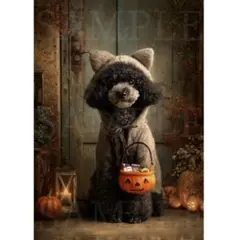 P103 猫の仮装をした黒いトイプードル A4サイズ オリジナルアート 犬 絵画
