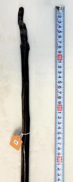 Item thumbnail for item 09952ddf-5ef7-4a13-9147-1331eb311cc1